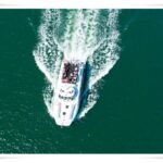 Newcastle Whale Watch Cruise