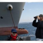 Newcastle Whale Watch Cruise