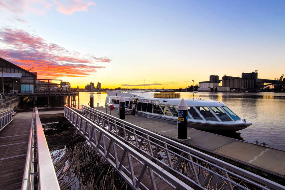 the-princess-tile-image