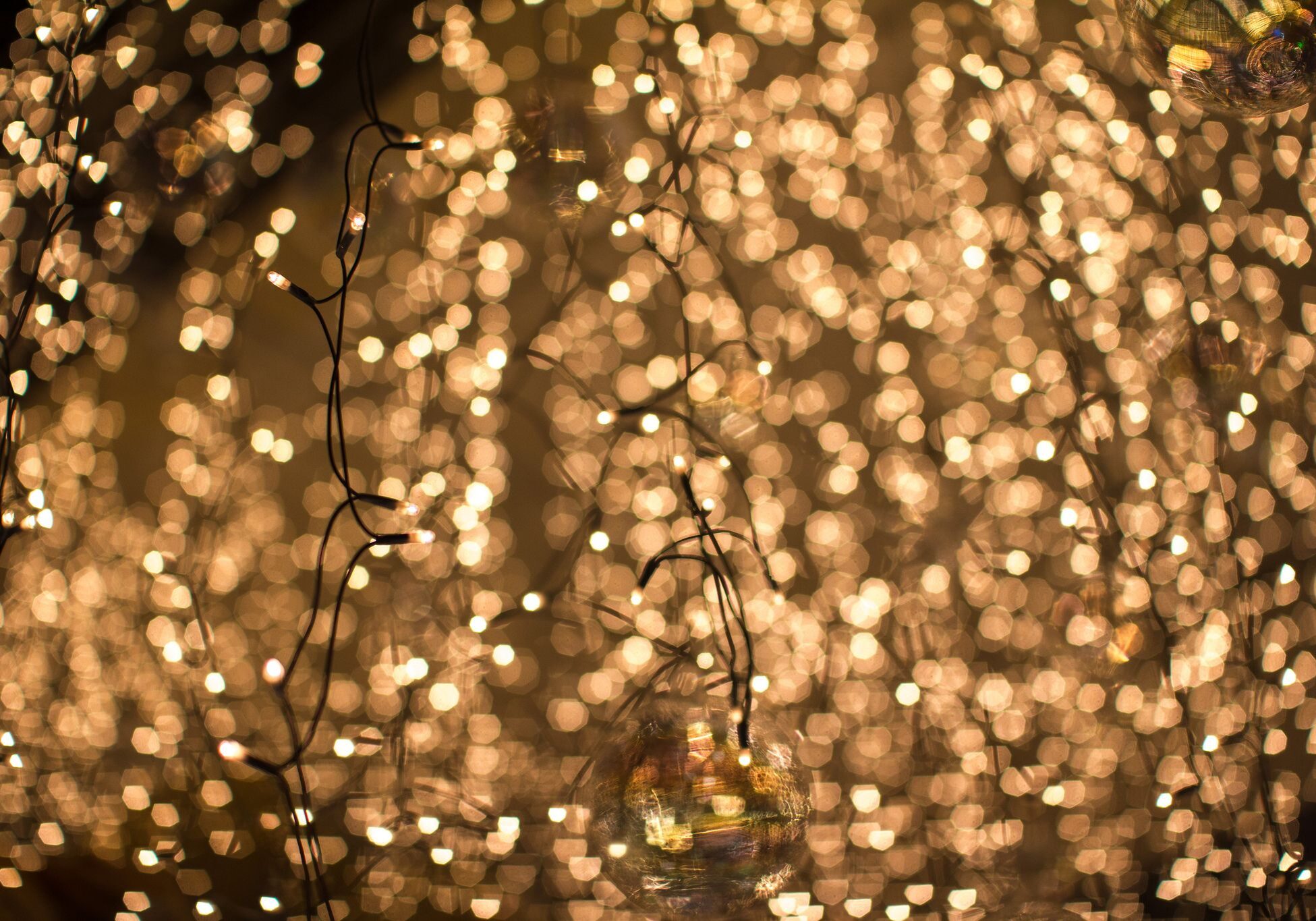 fairy lights